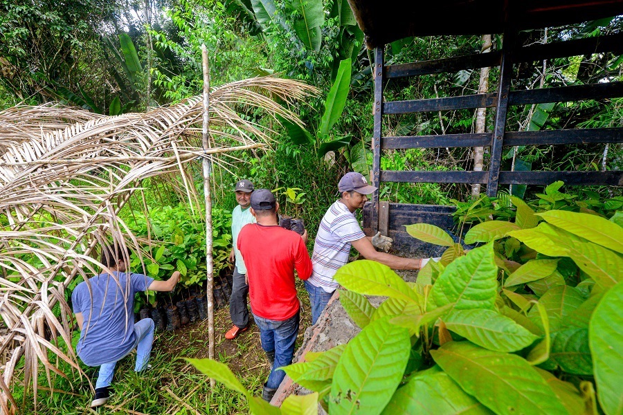 Governo do Amapá lança edital para credenciar técnicos em vistoria rural